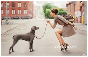 Longchamp Oh my dog!